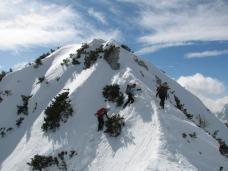 Klik za večjo sliko